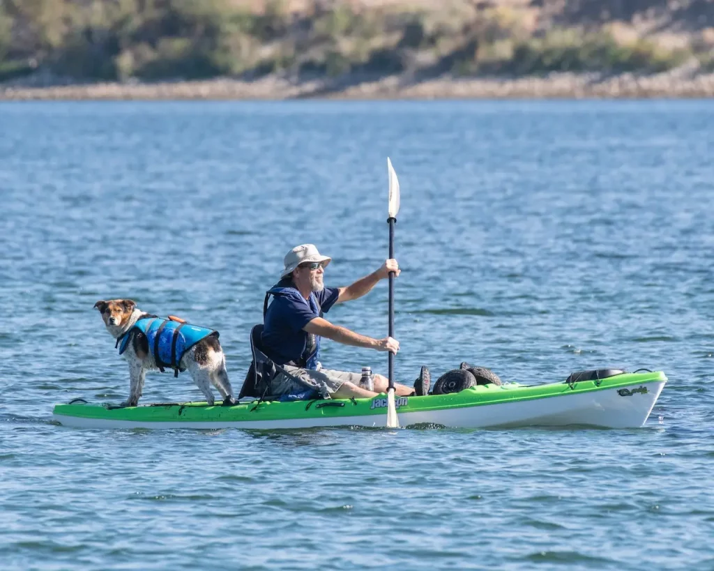 kayak tow with dog